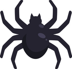 Black widow spider with a shiny black body and eight legs spread out