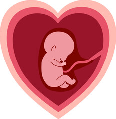 Human embryonic development