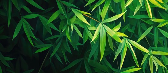 Naklejka premium Close up view of vibrant green bamboo leaves
