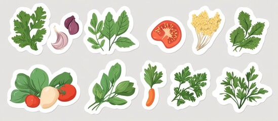 Flat Design Stickers of Culinary Herbs and Food Ingredients