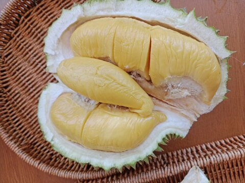 durian Tropical fruit