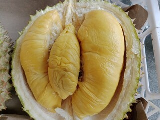 durian Tropical fruit