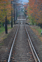 Railroad in autumn / 紅葉に囲まれた線路(単線)