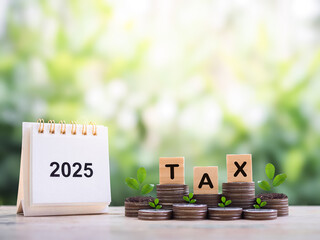 2025 desk calendar, Wooden blocks with the word TAX and plants growing up on stack of coins. The...