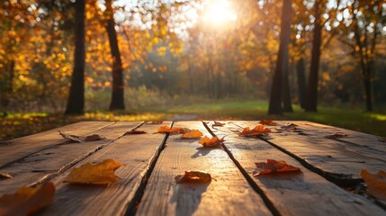 Close up of wooden planks in a forest with fall leaves.