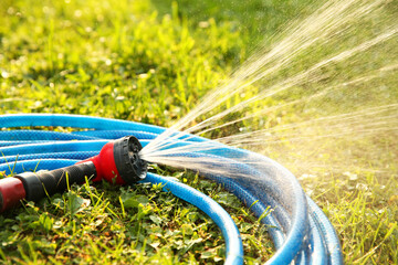 Water spraying from hose on green grass outdoors