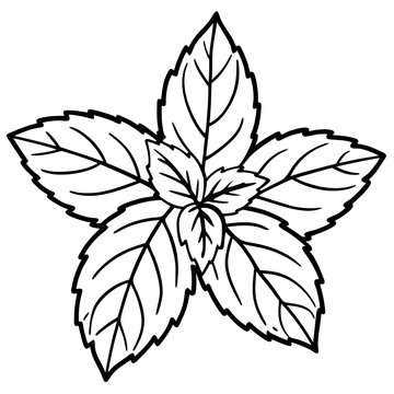 recommend clip art: mint leaves outline coloring book page line art drawing