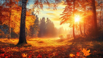 A misty autumn forest with golden leaves on the ground, sun shining through the trees.
