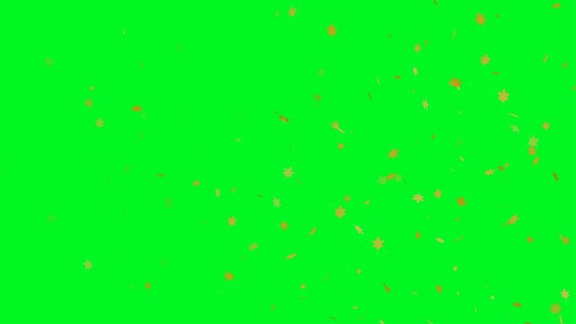 Autumn Orange Leaf Falling with Green Screen. 4k Animation
