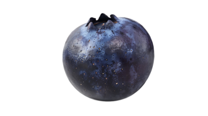 A single dried blueberry with a transparent background.
