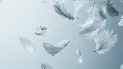 Fototapeta premium Soft Floating Feathers Creating a Serene and Ethereal Atmosphere