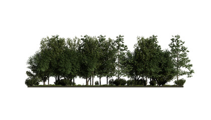 Fototapeta premium forest various tree, grass and plant, flat ground, isolated transparent background