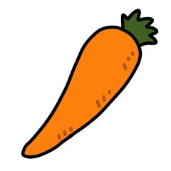 fresh carrot on white background