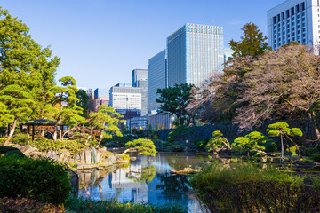 日本の風景・秋　東京都千代田区　紅葉の日比谷公園