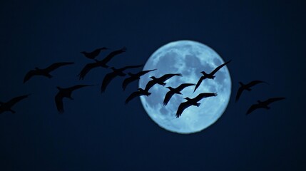 78. The silhouettes of birds flying in a V-shape with a full moon glowing in the background, capturing the peacefulness and natural harmony of the night sky