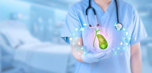 Doctor analyzes gallbladder. Gallbladder with stones. Gallbladder care and treatment. Doctor...