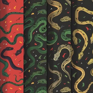 Wild safari Snake seamless pattern collection
