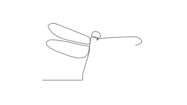 One continuous line drawing of 
insect video illustration. Animal insect themes design concept in simple linear style. Sensory organs used for touch, smell, and sometimes taste. good for education.