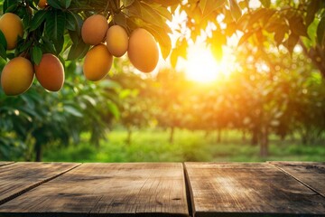 Photo Ripe Mango tropical fruit hanging on tree with wooden table and sunset at organic farm