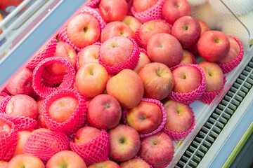 Fresh Red Apples in Protective Netting