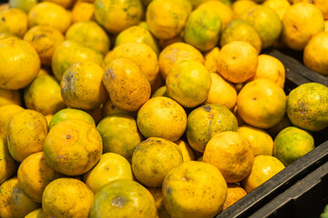 Fresh Citrus Fruits in Market Display