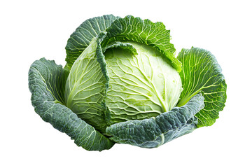 Fototapeta premium Green Cabbage Isolated on White Background
