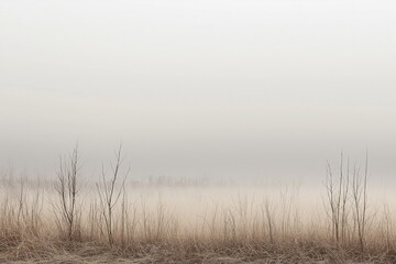 Obraz premium Fog covering the countryside with bare trees and dry grass