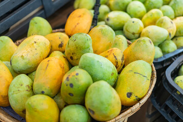 Basket of Ripe Mangoes