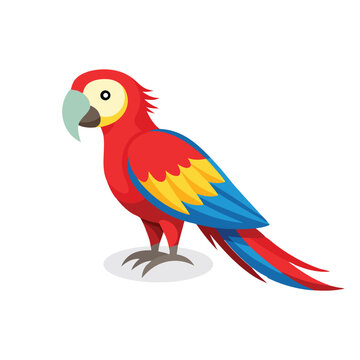recommend clip art:  Scarlet Macaw bird isolated flat vector illustration on white background