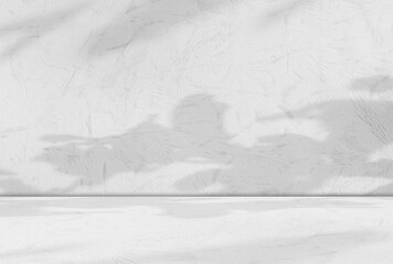 Fototapeta premium Background wall floor shadow grey leaf white light kitchen abstract studio product minimal room marble mockup display stage scene platform shelf space pattern backdrop table autumn summer travel.