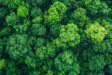 Fototapeta premium Verdant Canopy Aerial View of Dense Green Forest Symbolizing Ecological Health, ai