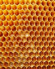 honeycomb close up