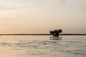 Person Collecting in Shallow Water at Sunset