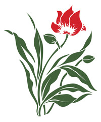 A single red tulip with green leaves isolated on a white background.