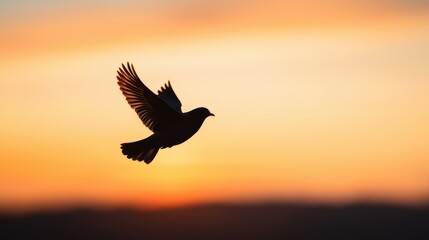 Fototapeta premium Silhouette of a Bird in Flight Against a Vibrant Sunset Sky with Orange and Yellow Hues