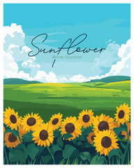 A field of sunflowers basks in the warm sunlight, a picturesque scene of summer.