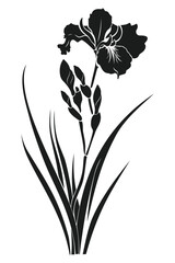 Black and white silhouette of an iris flower with leaves.