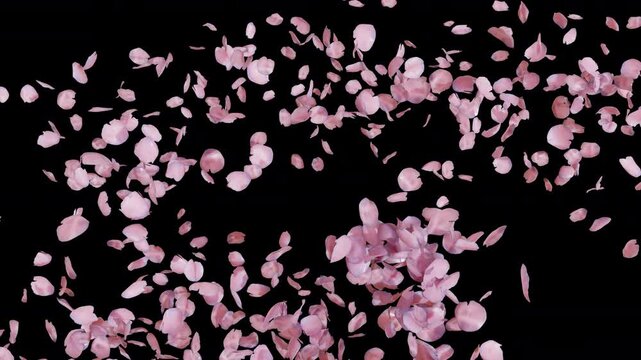 Alpha Channel During Cherry Blossom Seasonal is alpha motion footage for seasonal films and cinematic in nature scene. Also good background for scene and titles, logos.