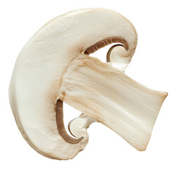 Fototapeta premium Slice of champignon isolated on transparent background