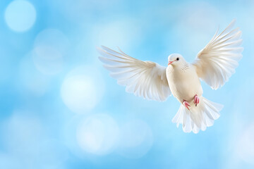 Obraz premium White dove in flight against a bright blue background with a soft bokeh effect during daylight