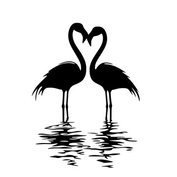 recommend clip art: Silhouette of two flamingos facing each other, Black and white silhouette of two flamingos standing in water, facing each other, with their necks forming a heart shape.
                    