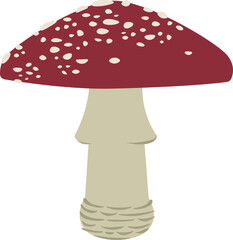 Amanita muscaria, fly agaric
