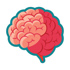 Detailed Brain Vector Graphic, Brain Anatomy Vector Illustration.
