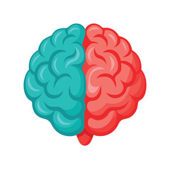Detailed Brain Vector Graphic, Brain Anatomy Vector Illustration.