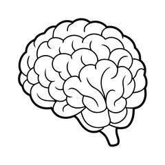 Detailed Brain Vector Graphic, Brain Anatomy Vector Illustration.