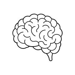 Detailed Brain Vector Graphic, Brain Anatomy Vector Illustration.