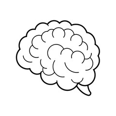 Detailed Brain Vector Graphic, Brain Anatomy Vector Illustration.