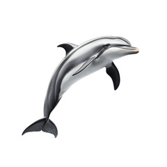 Fototapeta premium Stunning High-Resolution Image of a Graceful Dolphin Leaping Out of Water Against a Background