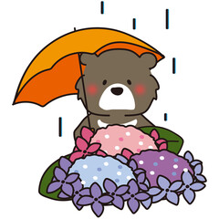 雨の日に傘をさして紫陽花を見つめるツキノワグマ