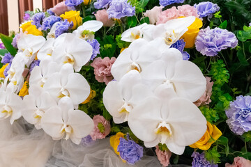 胡蝶蘭を使った花のデコレーション